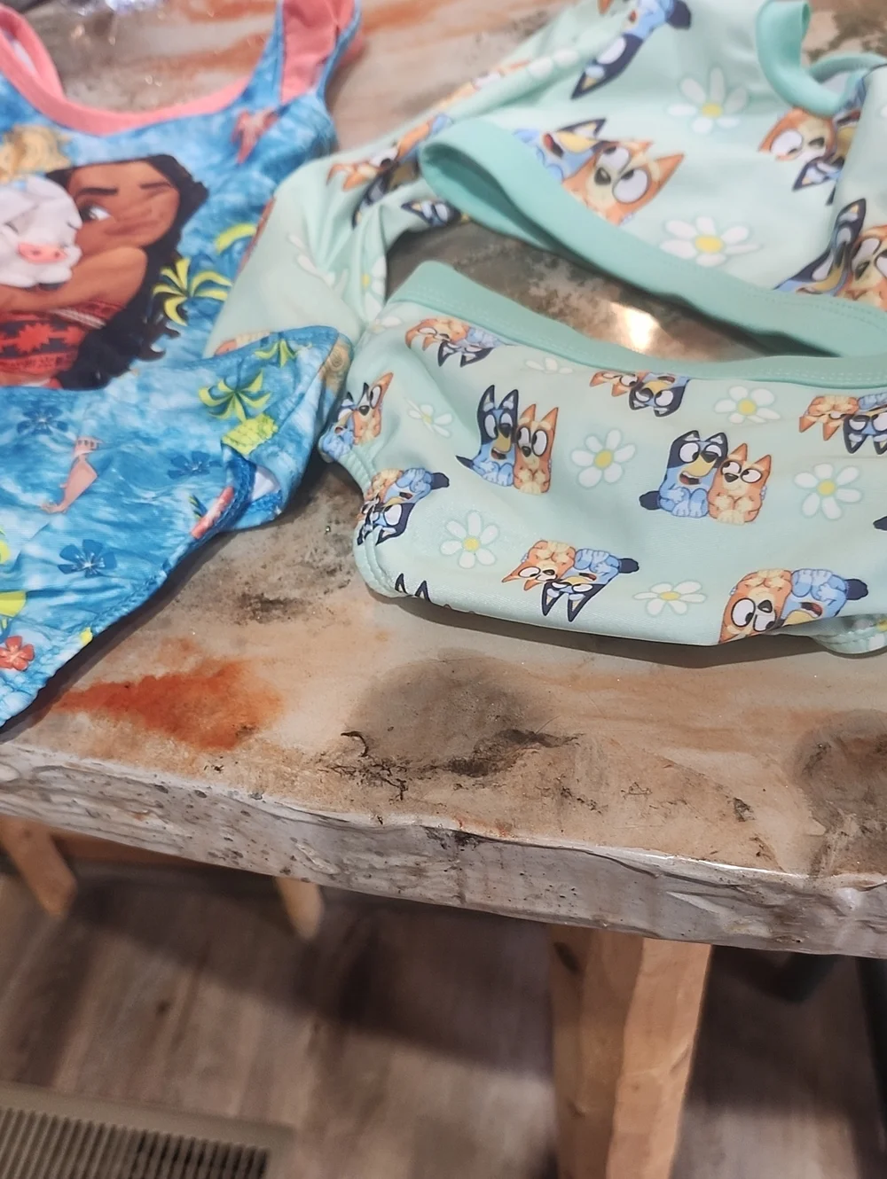 Kids 2 Swimsuits in Mint with Cartoon Dog Print And Blue